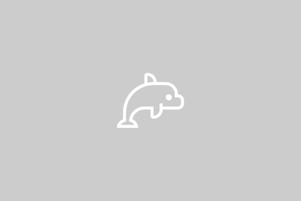 Cruises/Dolphin Tours