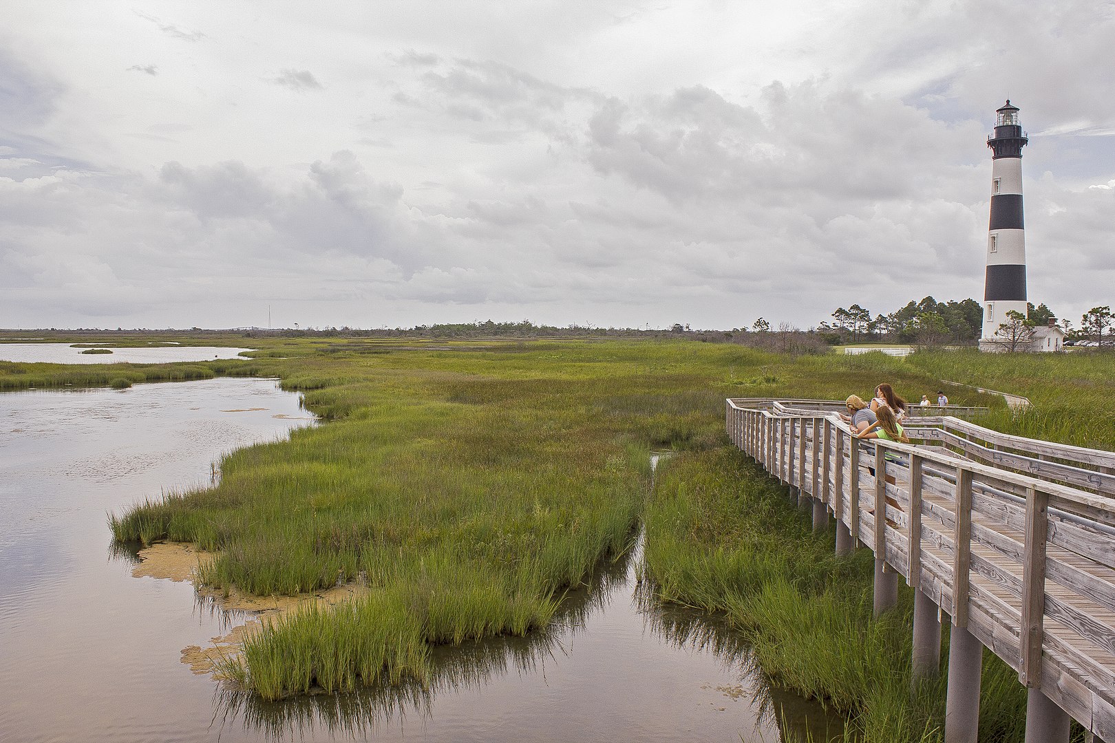 Explore Nature With Currituck Banks Shoreline OBX Vacation Rentals